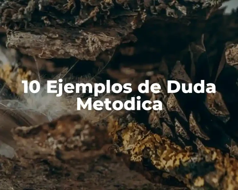 10 Ejemplos de Duda Metodica
