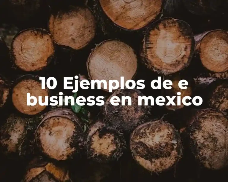 10 Ejemplos de e business en mexico