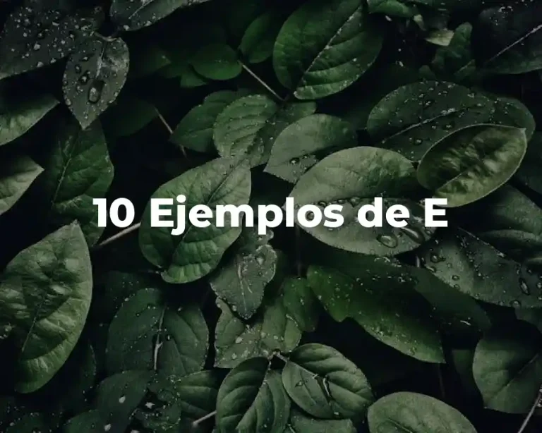 10 Ejemplos de E