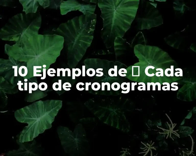 10 Ejemplos de ⏳ Cada tipo de cronogramas