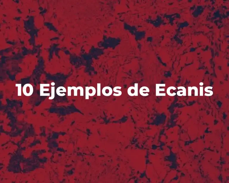 10 Ejemplos de Ecanis