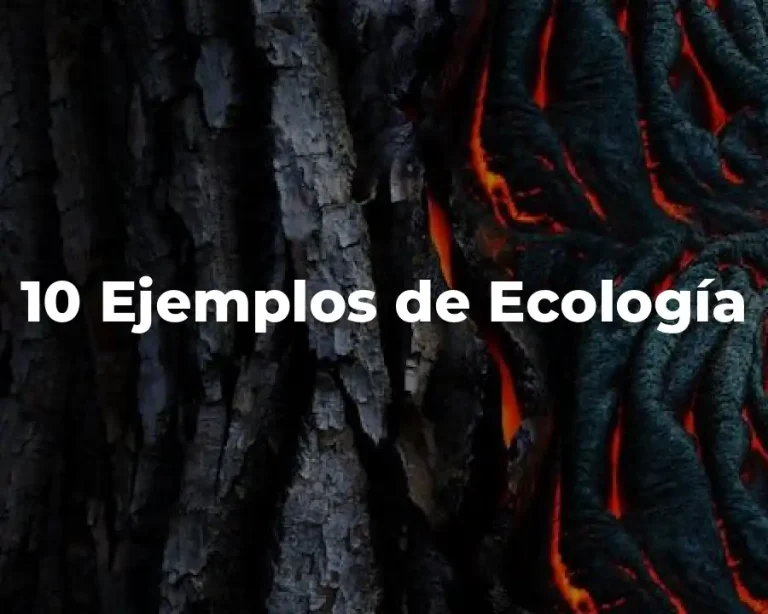 10 Ejemplos de Ecología