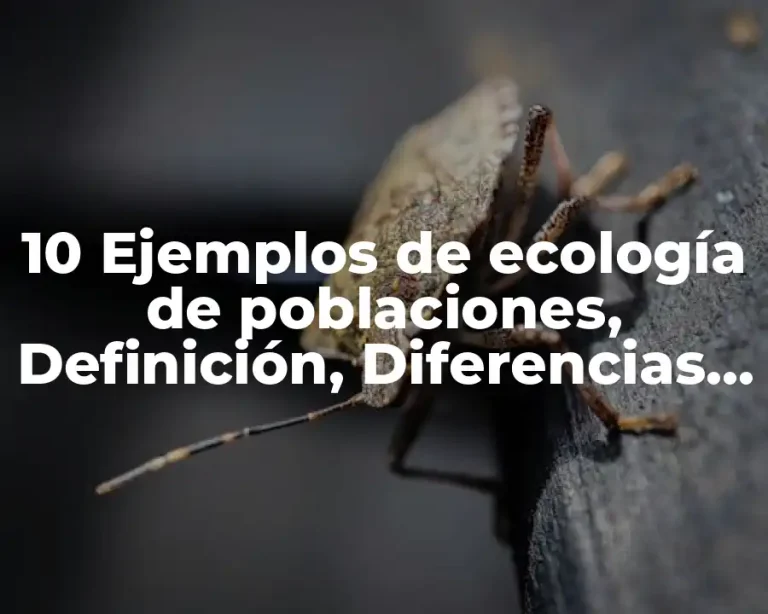 10 Ejemplos de ecología de poblaciones, Definición, Diferencias y para que sirve