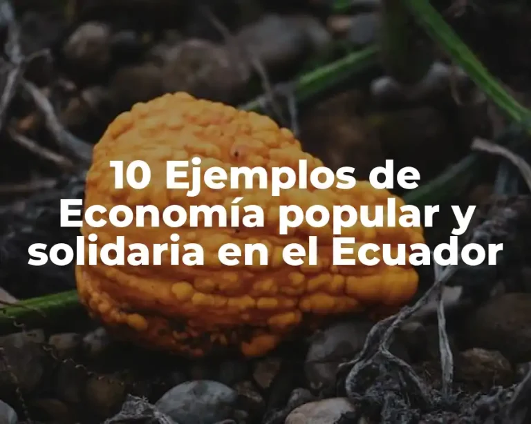 10 Ejemplos de Economía popular y solidaria en el Ecuador