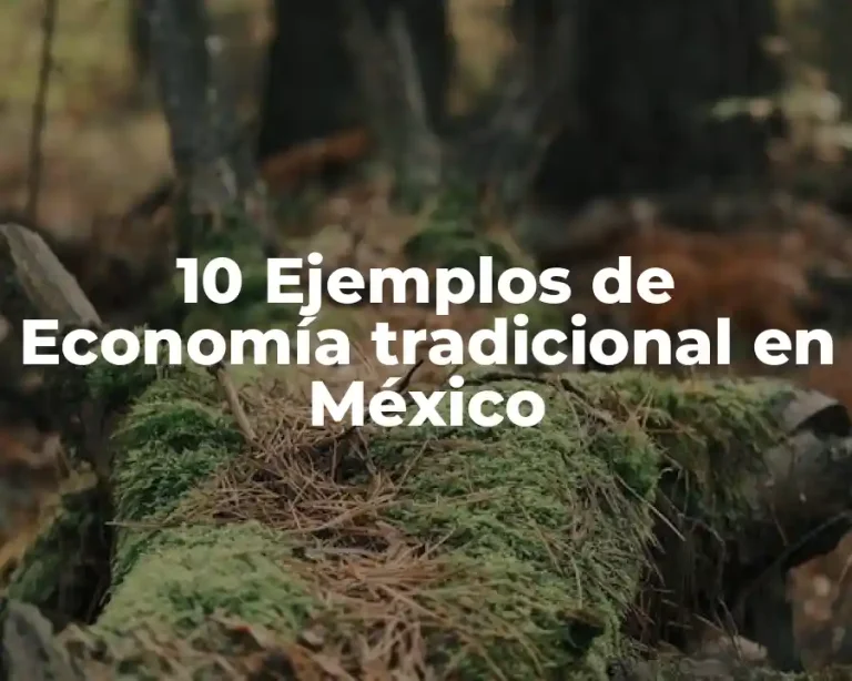 10 Ejemplos de Economía tradicional en México