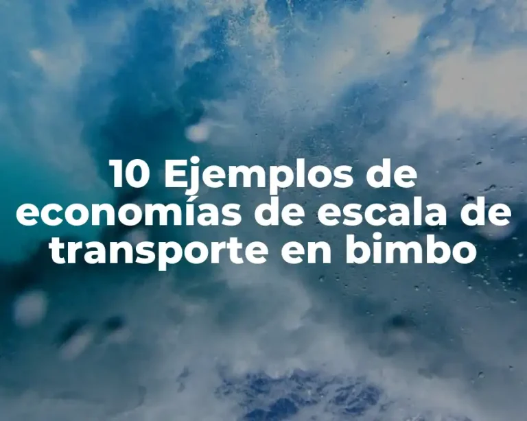 10 Ejemplos de economías de escala de transporte en bimbo