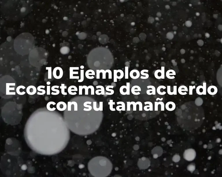 10 Ejemplos de Ecosistemas de acuerdo con su tamaño