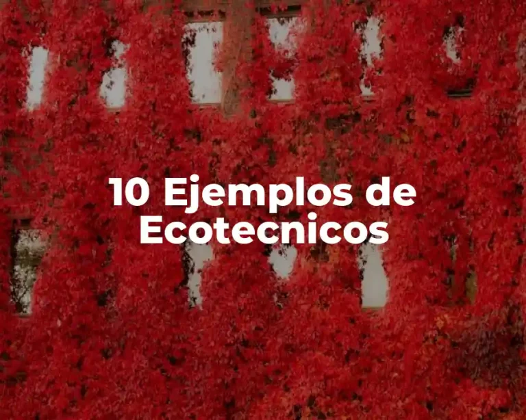 10 Ejemplos de Ecotecnicos