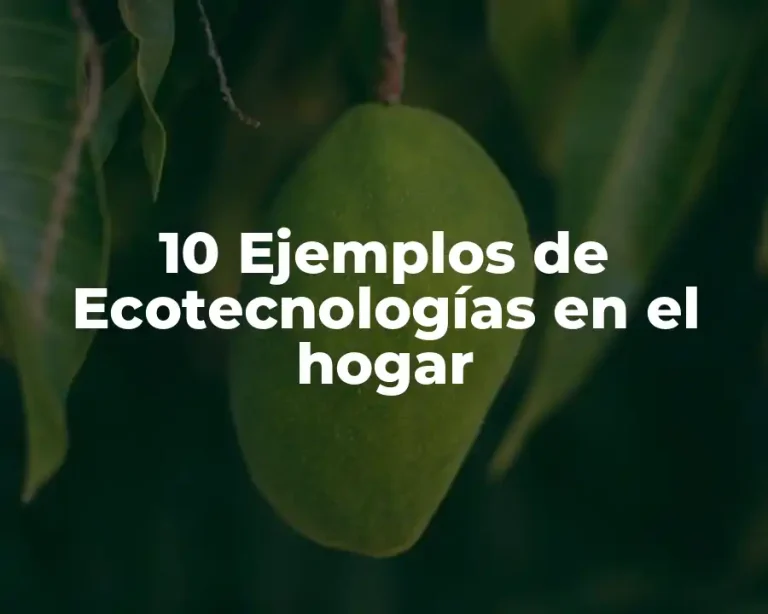 10 Ejemplos de Ecotecnologías en el hogar