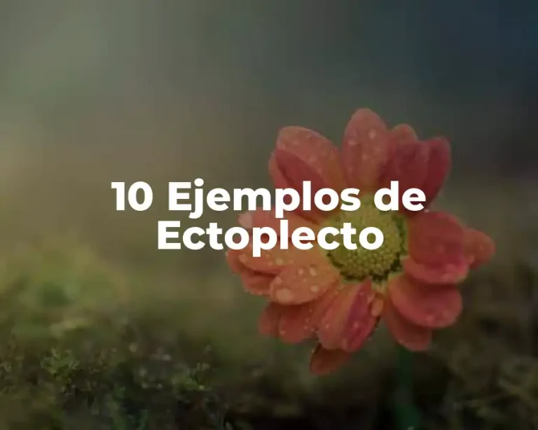10 Ejemplos de Ectoplecto