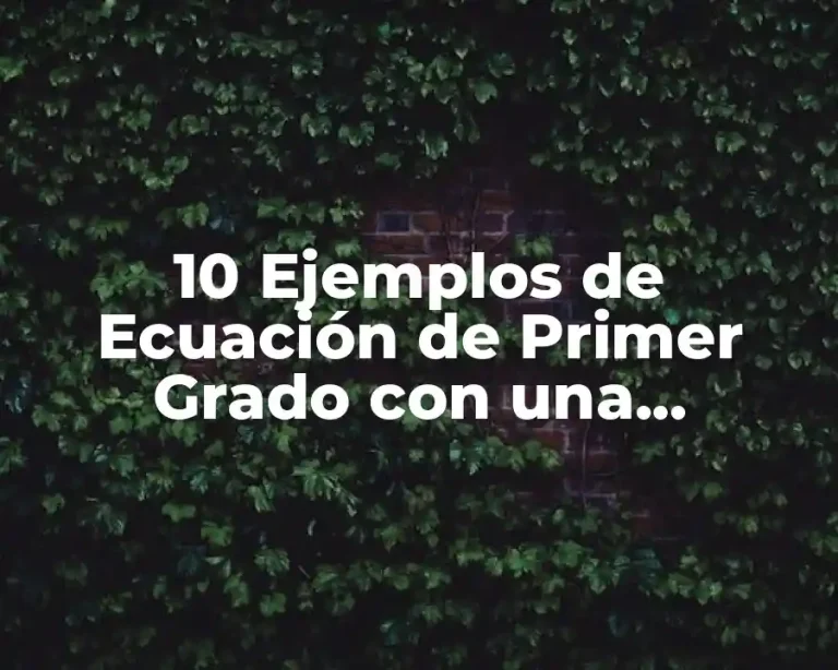 10 Ejemplos de Ecuación de Primer Grado con una Incógnita