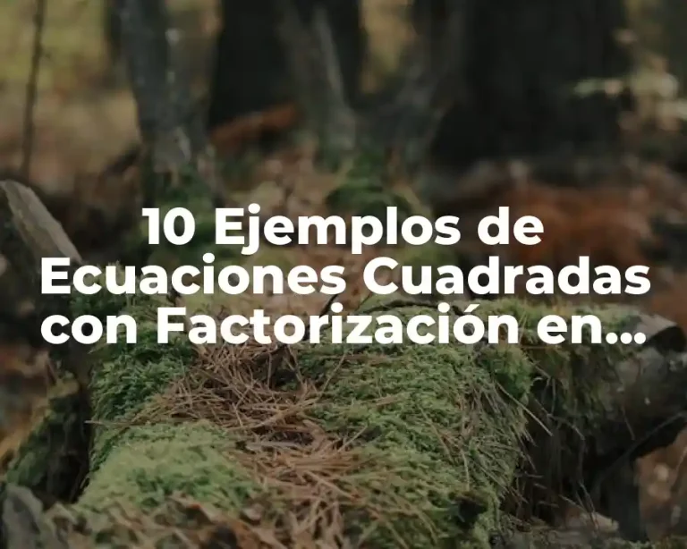 10 Ejemplos de Ecuaciones Cuadradas con Factorización en Situaciones Cotidianas
