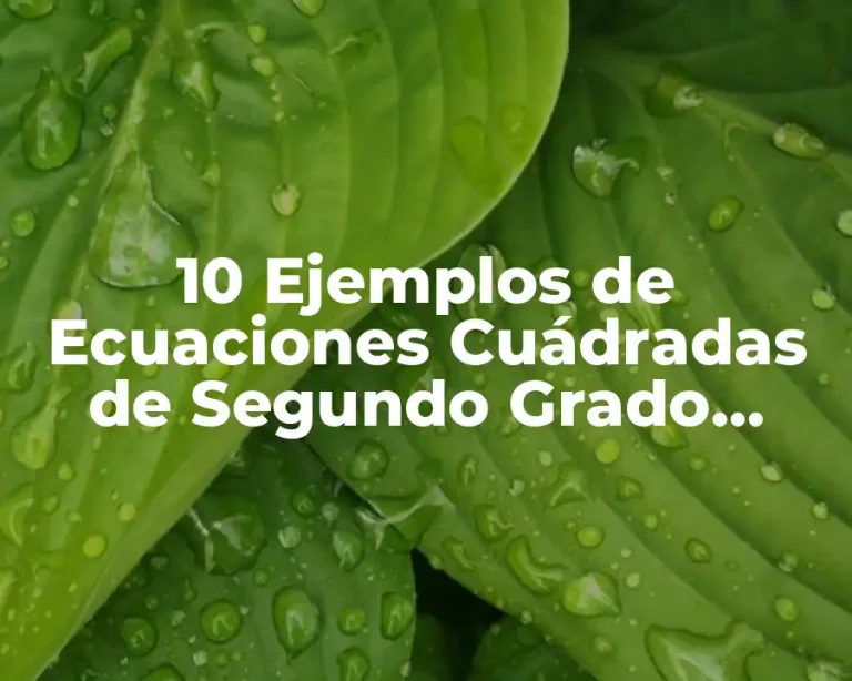 10 Ejemplos de Ecuaciones Cuádradas de Segundo Grado Incompletas con Fórmulas