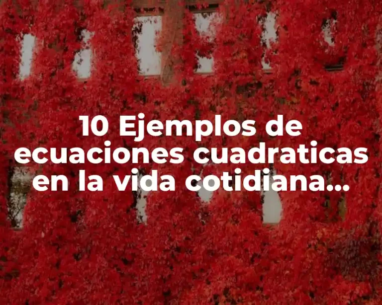 10 Ejemplos de ecuaciones cuadraticas en la vida cotidiana ejemplos