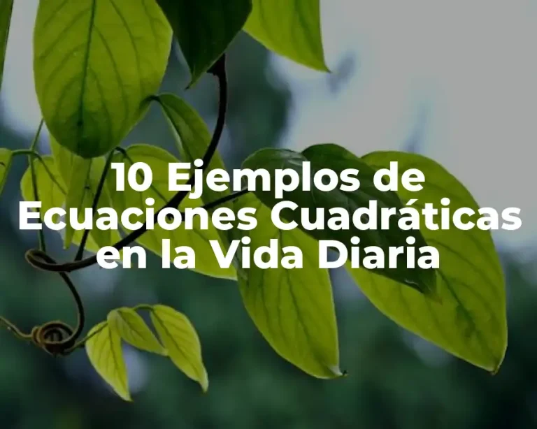 10 Ejemplos de Ecuaciones Cuadráticas en la Vida Diaria
