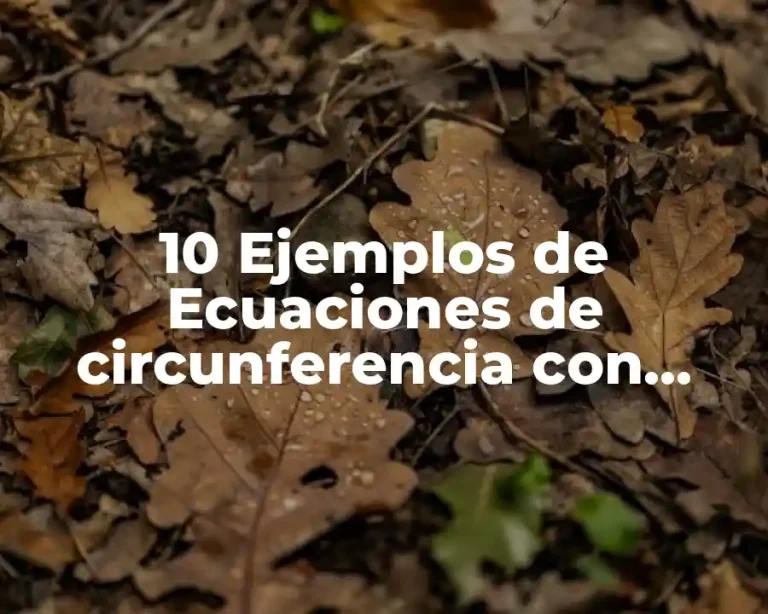 10 Ejemplos de Ecuaciones de circunferencia con centro en el origen