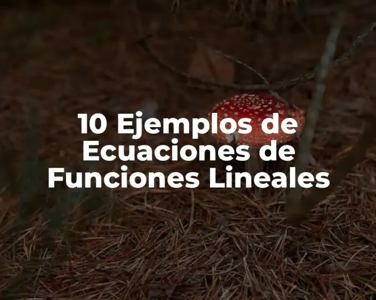 10 Ejemplos de Ecuaciones de Funciones Lineales
