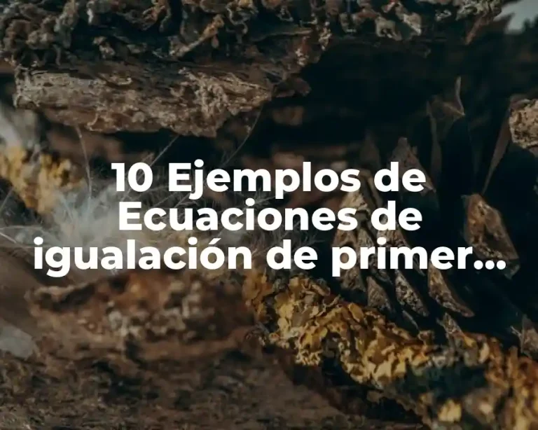 10 Ejemplos de Ecuaciones de igualación de primer grado