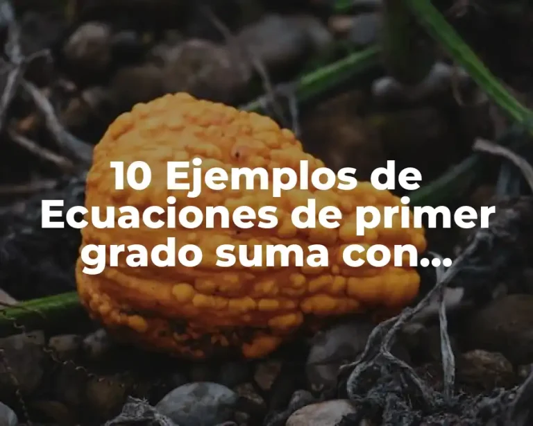 10 Ejemplos de Ecuaciones de primer grado suma con explicación