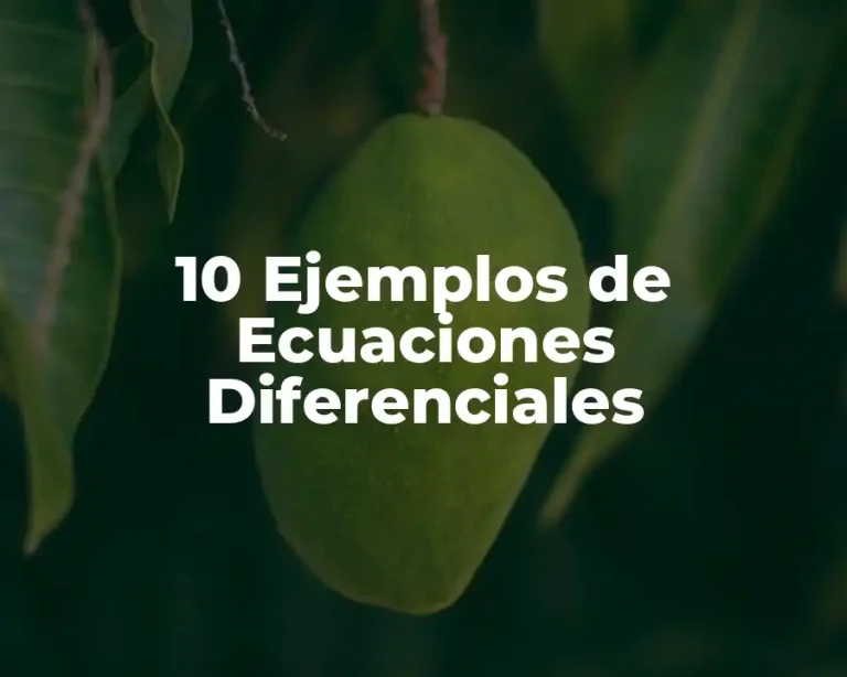 10 Ejemplos de Ecuaciones Diferenciales