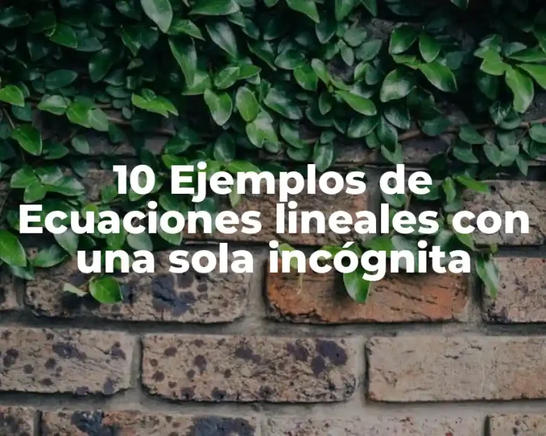 10 Ejemplos de Ecuaciones lineales con una sola incógnita
