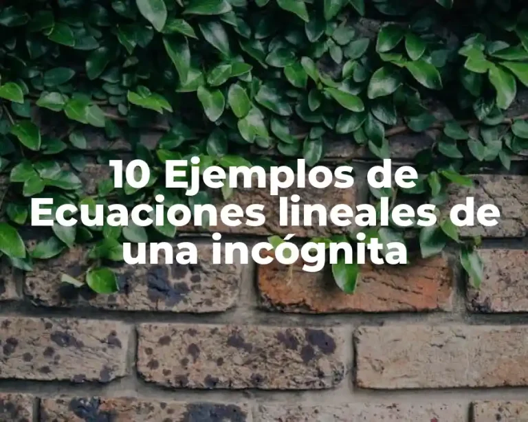 10 Ejemplos de Ecuaciones lineales de una incógnita