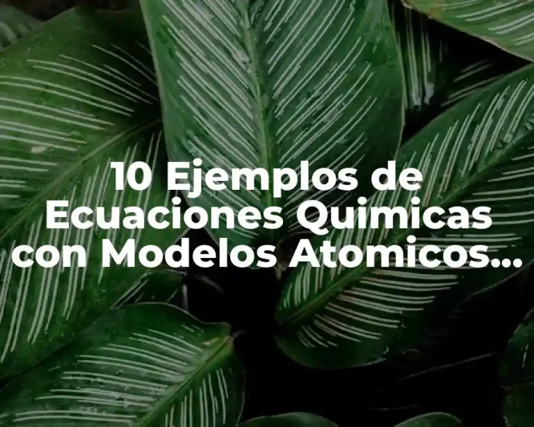 10 Ejemplos de Ecuaciones Quimicas con Modelos Atomicos y Simbologia