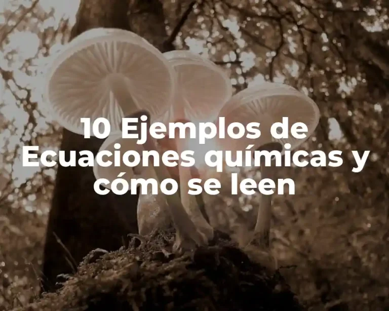10 Ejemplos de Ecuaciones químicas y cómo se leen