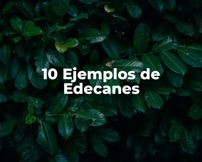 10 Ejemplos de Edecanes