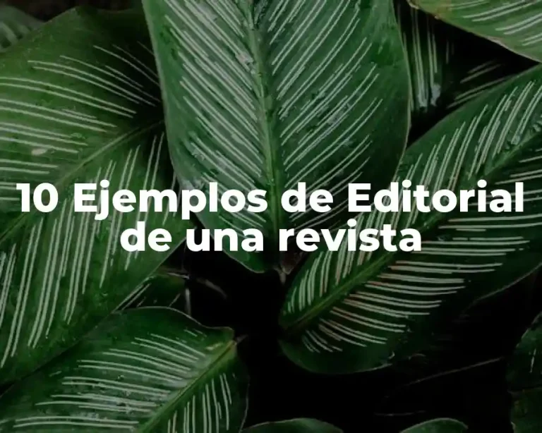 10 Ejemplos de Editorial de una revista