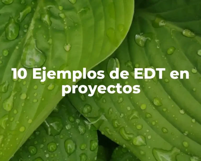 10 Ejemplos de EDT en proyectos