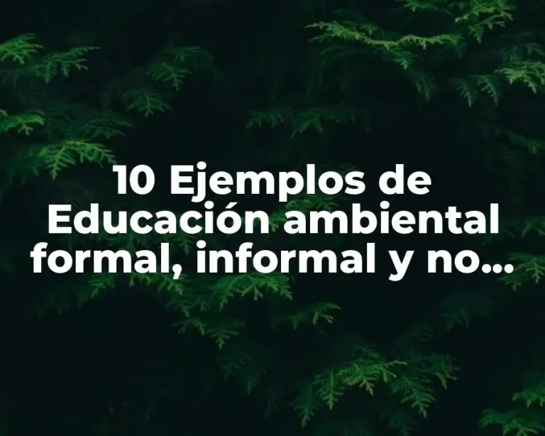10 Ejemplos de Educación ambiental formal, informal y no formal