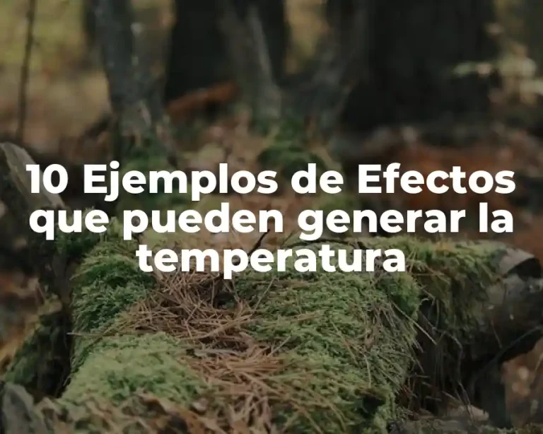 10 Ejemplos de Efectos que pueden generar la temperatura