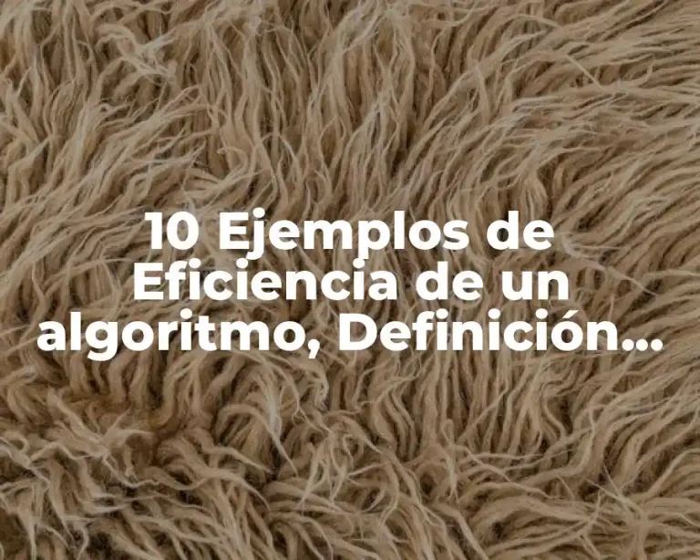 10 Ejemplos de Eficiencia de un algoritmo, Definición, Diferencias y para que sirve
