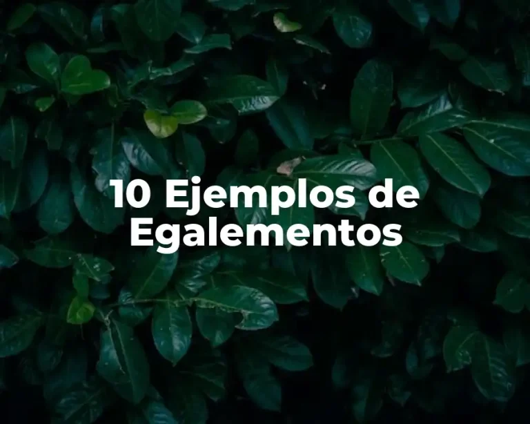 10 Ejemplos de Egalementos