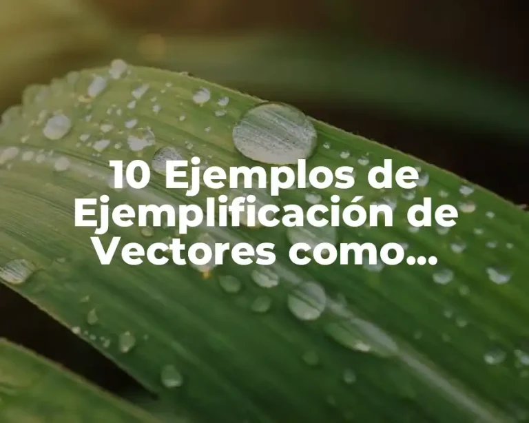 10 Ejemplos de Ejemplificación de Vectores como Combinación Lineal de Otros