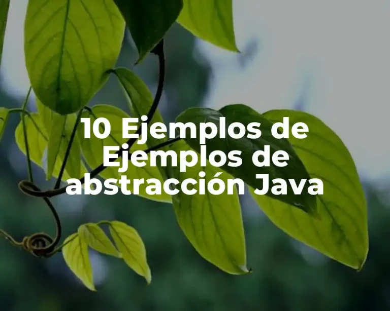 10 Ejemplos de Ejemplos de abstracción Java