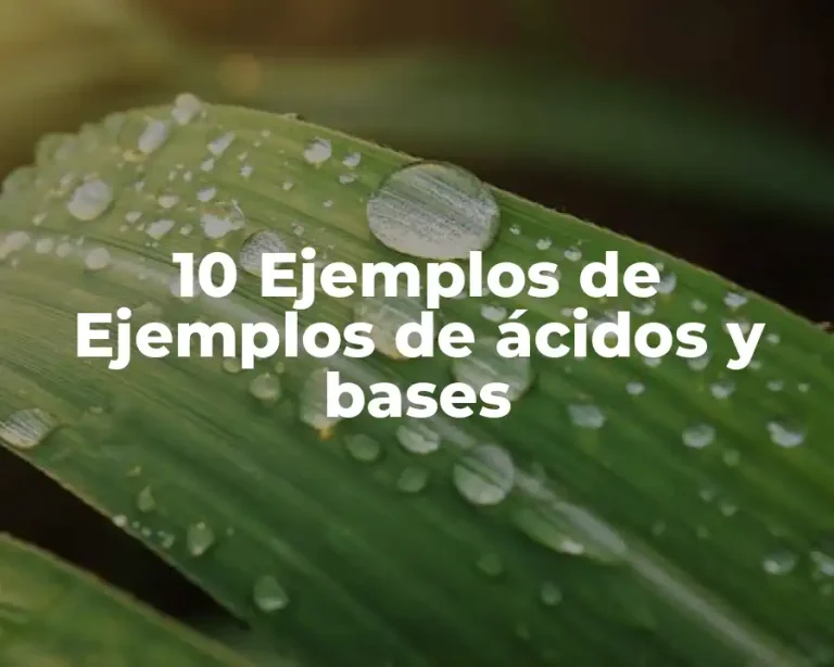 10 Ejemplos de Ejemplos de ácidos y bases