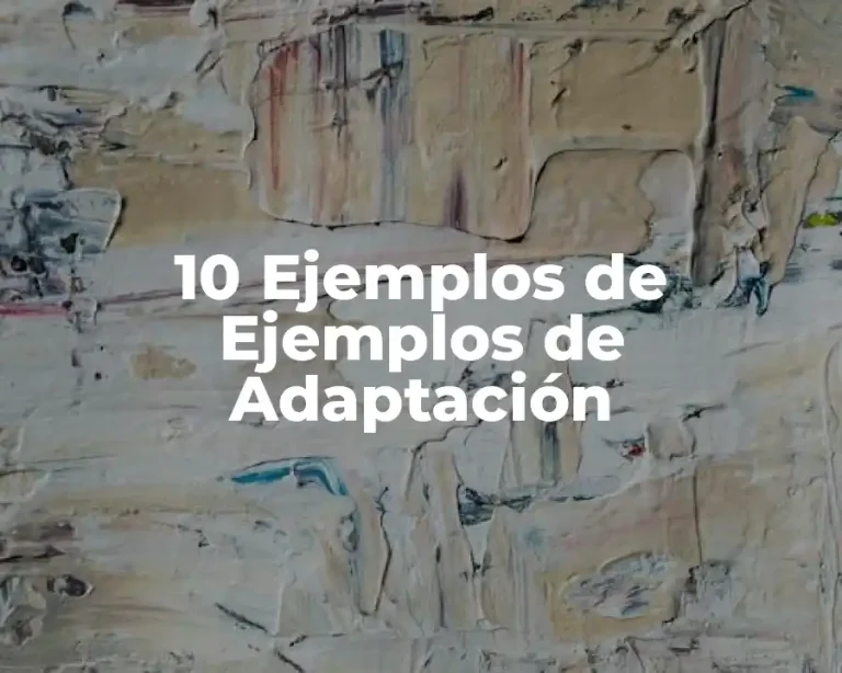 10 Ejemplos de Ejemplos de Adaptación