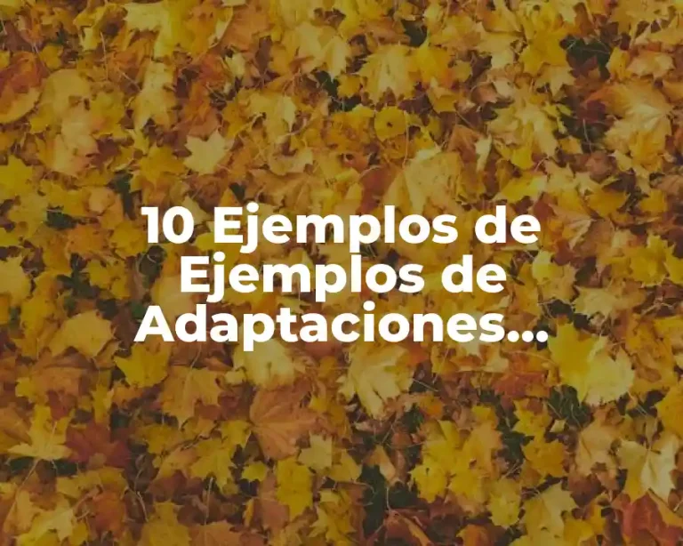 10 Ejemplos de Ejemplos de Adaptaciones Curriculares en Matemáticas Secundaria