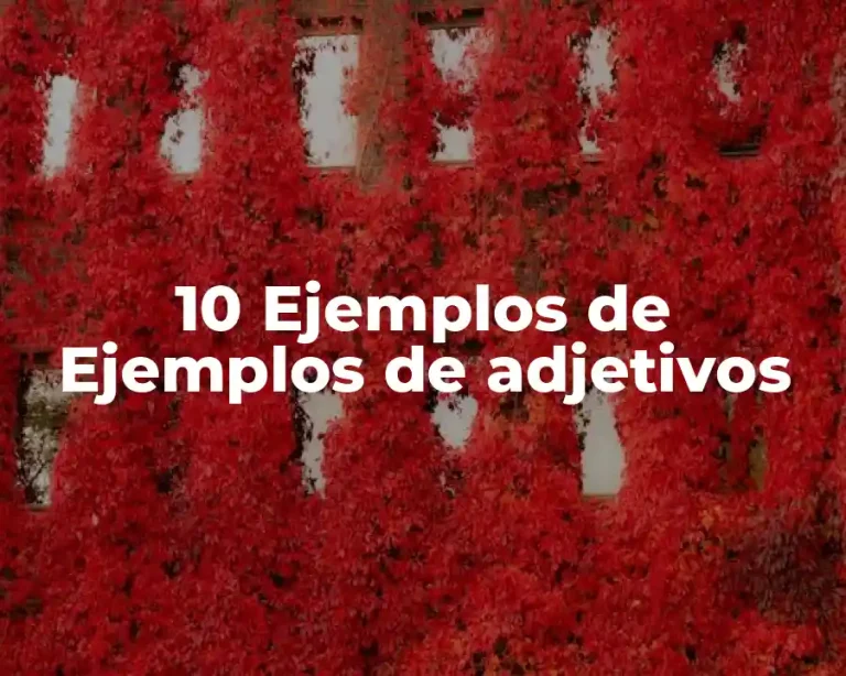 10 Ejemplos de Ejemplos de adjetivos