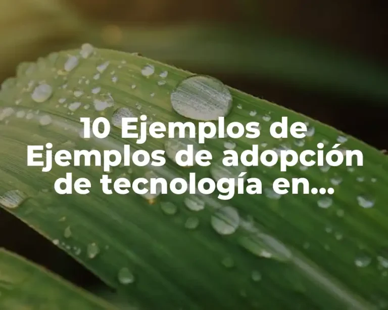 10 Ejemplos de Ejemplos de adopción de tecnología en unidades pecuarias