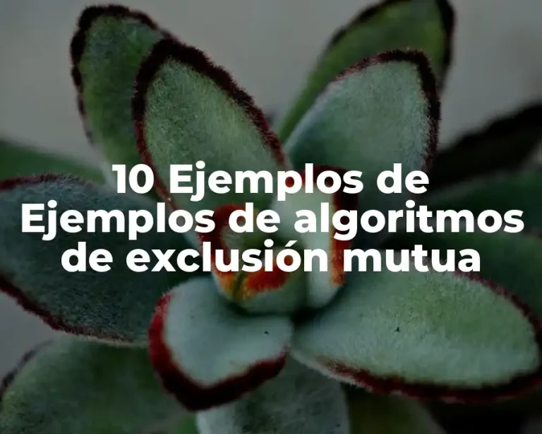 10 Ejemplos de Ejemplos de algoritmos de exclusión mutua