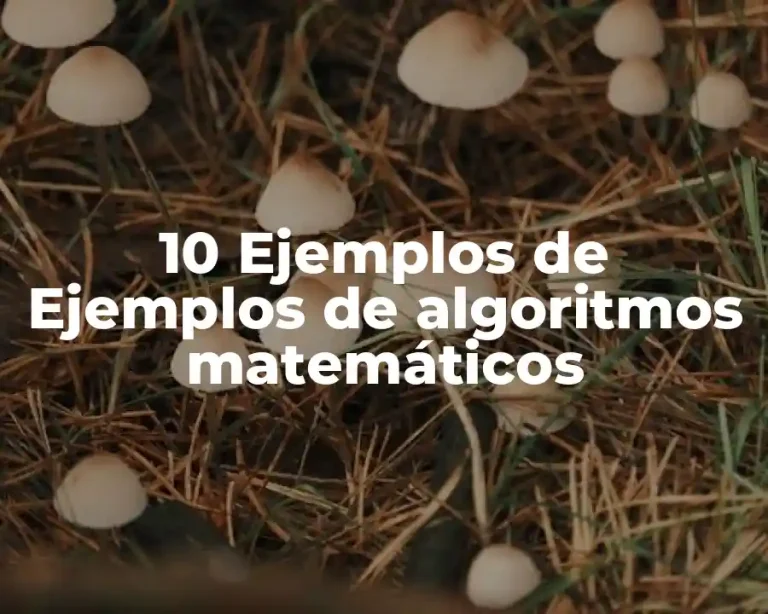 10 Ejemplos de Ejemplos de algoritmos matemáticos