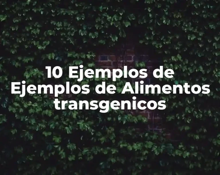 10 Ejemplos de Ejemplos de Alimentos transgenicos