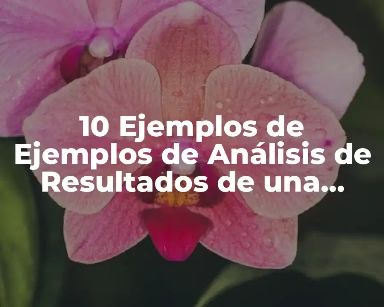10 Ejemplos de Ejemplos de Análisis de Resultados de una Entrevista
