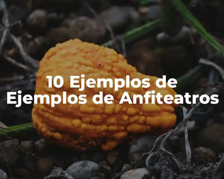 10 Ejemplos de Ejemplos de Anfiteatros