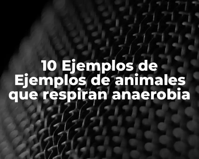 10 Ejemplos de Ejemplos de animales que respiran anaerobia