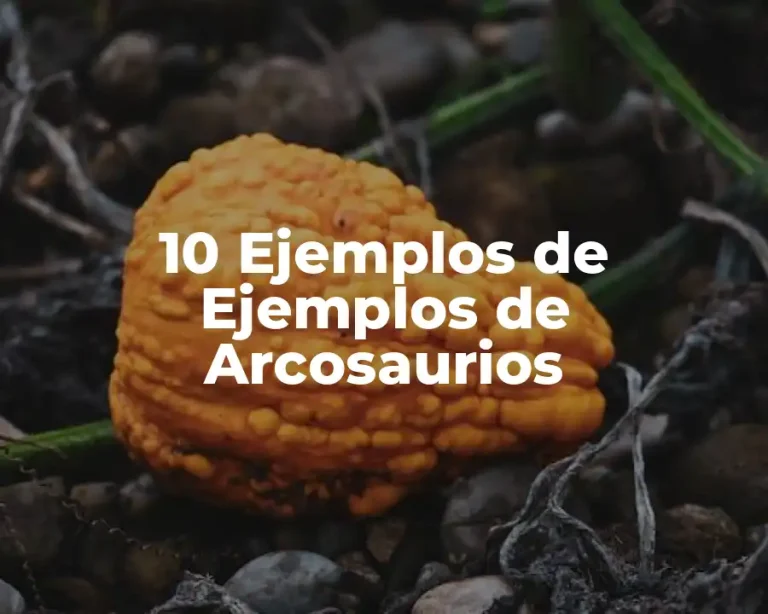 10 Ejemplos de Ejemplos de Arcosaurios