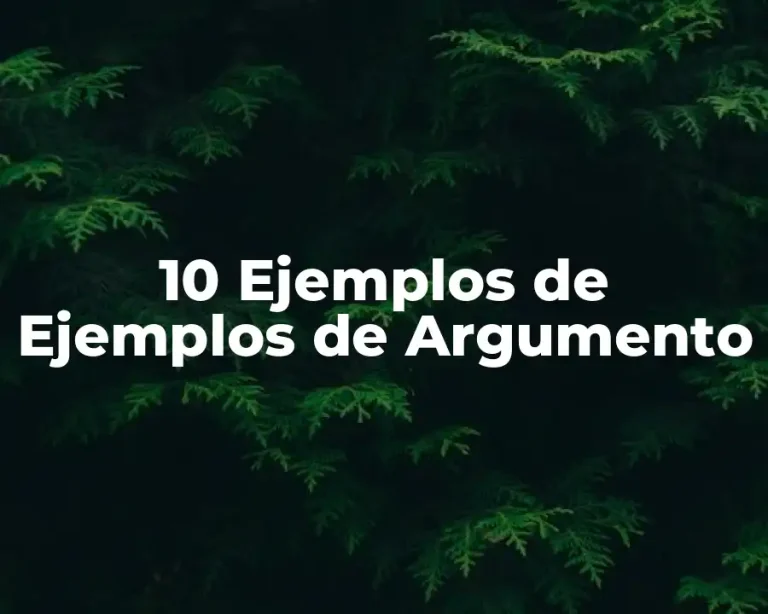10 Ejemplos de Ejemplos de Argumento